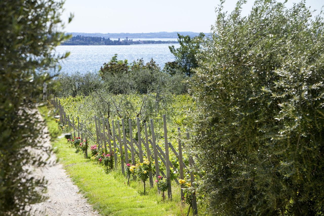 Agrigturismo Monte Cicogna Villa Moniga del Garda Luaran gambar