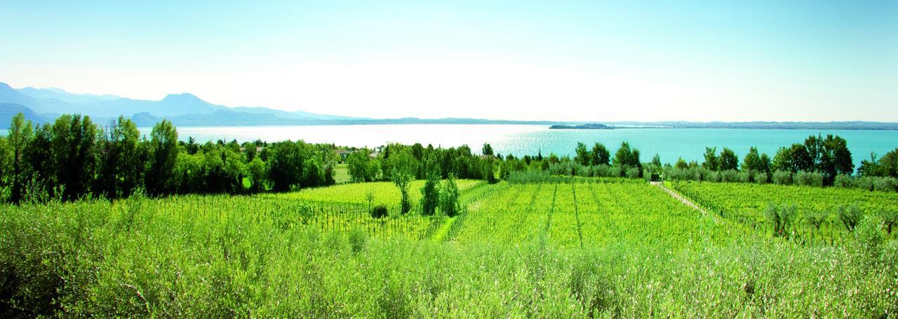 Agrigturismo Monte Cicogna Villa Moniga del Garda Luaran gambar